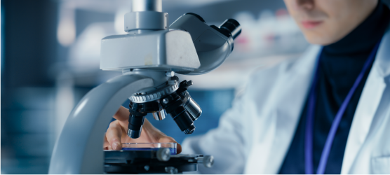 imagen doctorado, microscopio